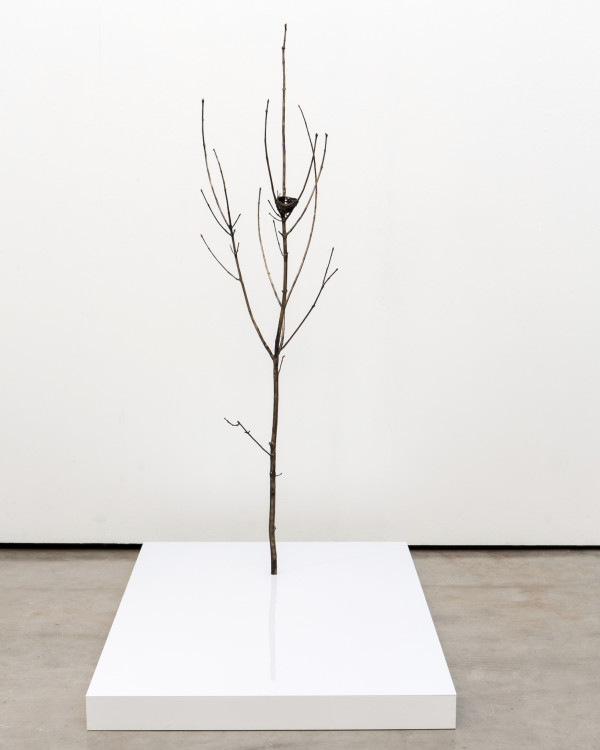 Only Tree (With Nest) by Emily Arthur