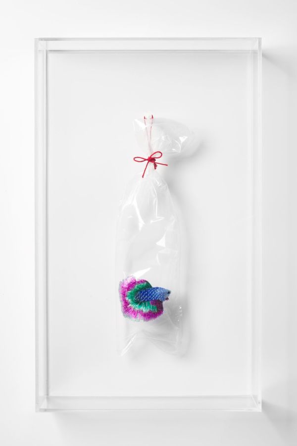 Betta Fish #7 (Embroidery on Plastic Bag series) by Angel Hui