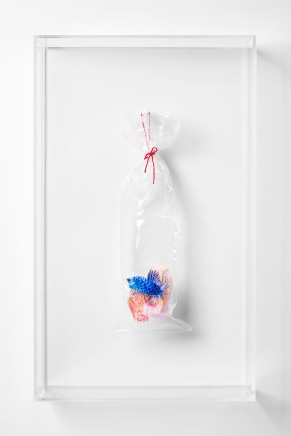 Betta Fish #18 (Embroidery on Plastic Bag series) by Angel Hui