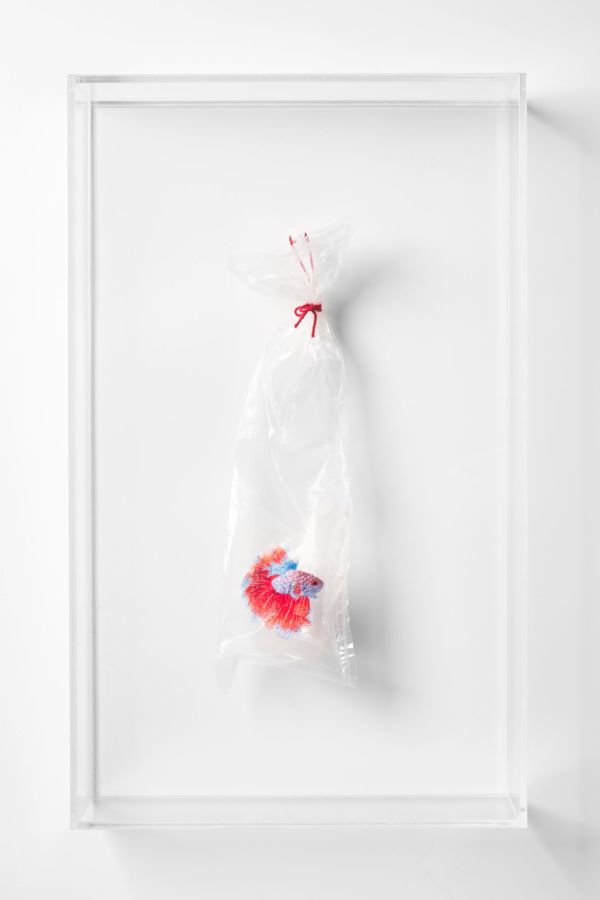 Betta Fish #36 (Embroidery on Plastic Bag series) by Angel Hui