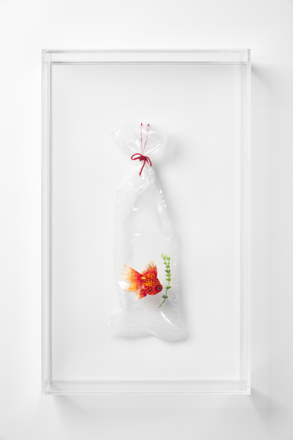 Hong Kong Goldfish Street 2 #38 (Embroidery on Plastic Bag series) by Angel Hui