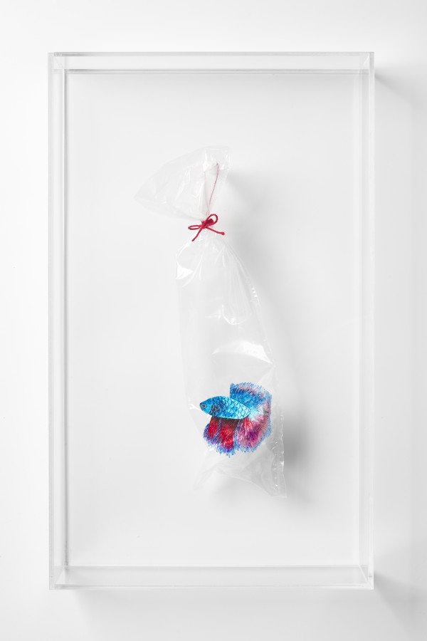 Betta Fish #38 (Embroidery on Plastic Bag series) by Angel Hui