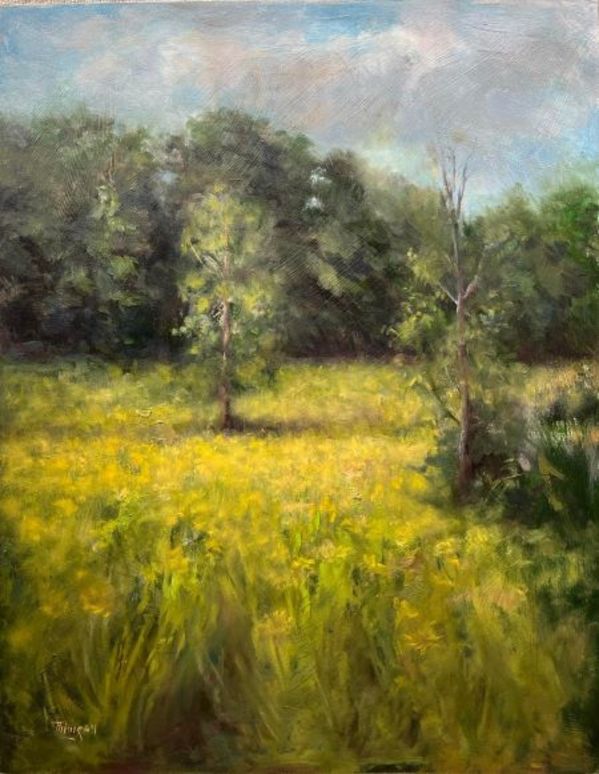 "Golden Summer Sketch" by Thimgan Hayden