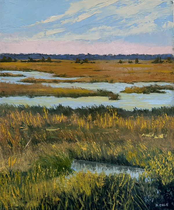 Sunlit Marshes by Marie Cole