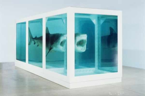 The Physical Impossibility of Death in the Mind of Someone Living by Damien Hirst