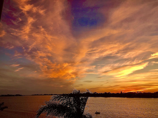 Sunset Viewed form ISLA  DEL SOL, St. Petersburg, FL by Alumni Artist