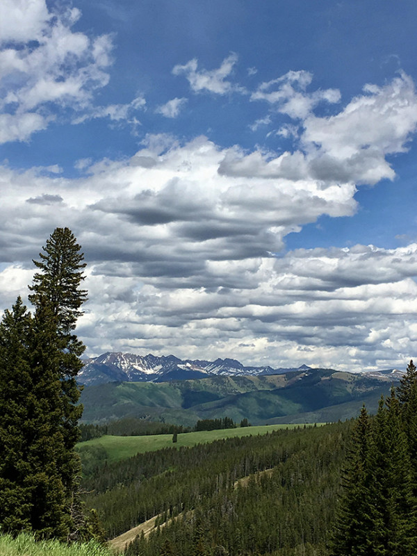 Colorado Plateau by Tracey Dean Widelitz